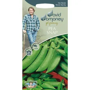 David Domoney Pea Snap 'Jessy' Seeds